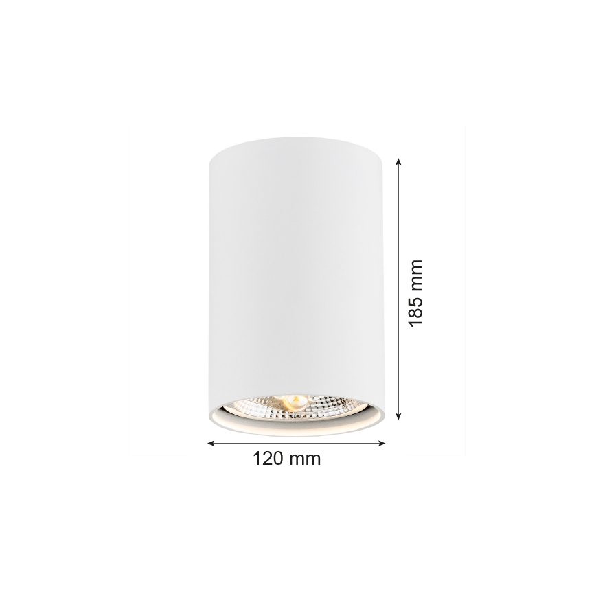 Argon 4910 - Точковий світильник TUBO AR111 1xGU10/15W/230V білий