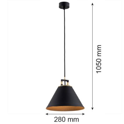 Argon 4915 - Люстра на тросе ORTE 1xE27/15W/230V черная