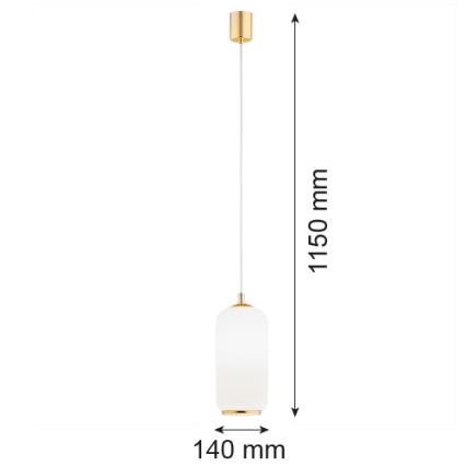 Argon 4993 - Люстра на тросе PALLADO 1xE27/15W/230V золотая/белая