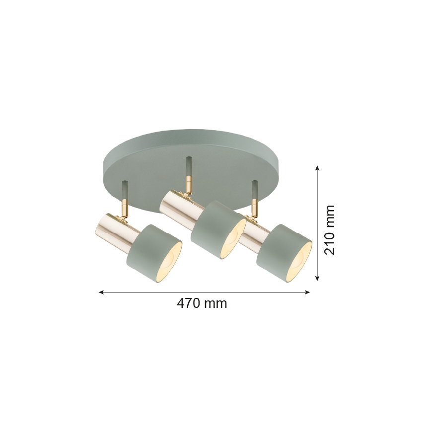 Argon 6007 - Точковий світильник DORIA 3xE27/15W/230V зелений/латунь