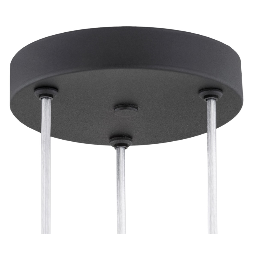 Argon 6103 - Люстра на тросе HOLLYWOOD 3xE14/7W/230V черная