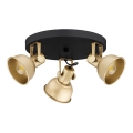 Argon 6243 - Точечный светильник LENORA 3xE14/7W/230V золотой/черный