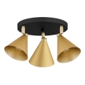 Argon 6246 - Точковий світильник LUCINDA 3xE14/7W/230V золотистий