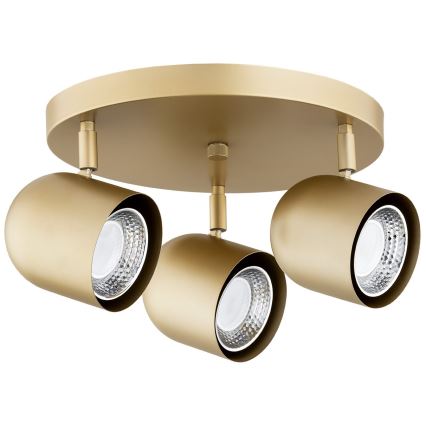 Argon 6249 - Точечный светильник ISOLA 3xGU10/5W/230V