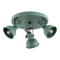 Argon 6265 - Точечный светильник LENORA 3xE14/7W/230V зеленый