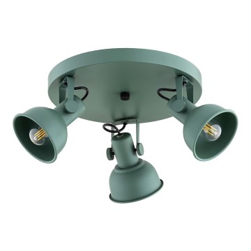Argon 6265 - Точечный светильник LENORA 3xE14/7W/230V зеленый