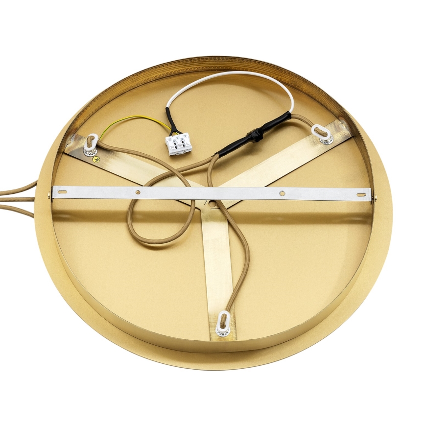 Argon 6305 - Потолочный светильник PALOMA 3xE14/7W/230V золотистый/белый