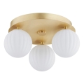 Argon 6305 - Потолочный светильник PALOMA 3xE14/7W/230V золотистый/белый