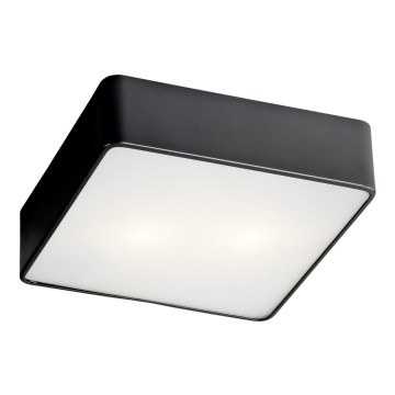 Argon 654 - Потолочный светильник ONTARIO 2xE27/15W/230V