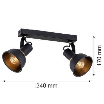 Argon 7037 - Точковий світильник TWIST 2xE14/7W/230V чорний/золотий