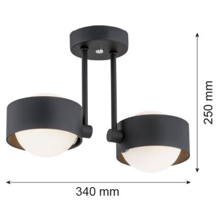 Argon 7089 - Люстра на штанге MASSIMO PLUS 2xG9/6W/230V черная