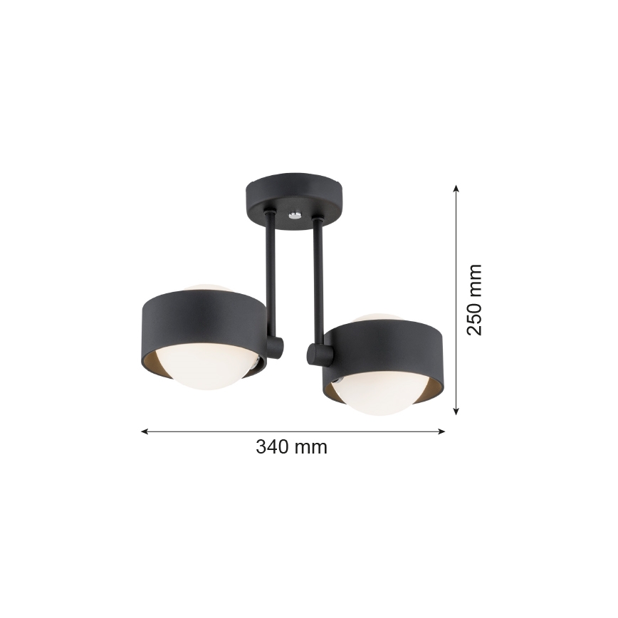 Argon 7089 - Люстра на штанге MASSIMO PLUS 2xG9/6W/230V черная