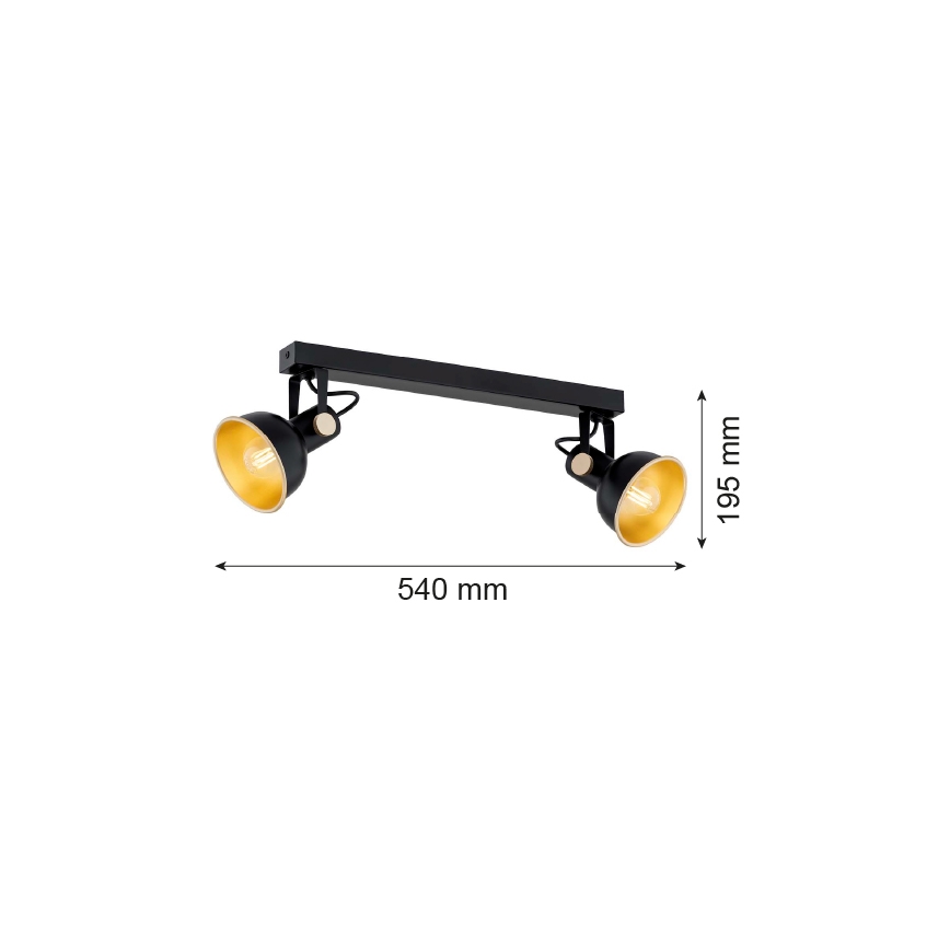 Argon 7142 - Точковий світильник LENORA 2xE14/7W/230V чорний