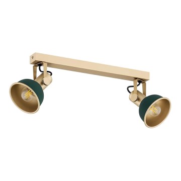 Argon 7143 - Точковий світильник LENORA 2xE14/7W/230V золотистий/зелений