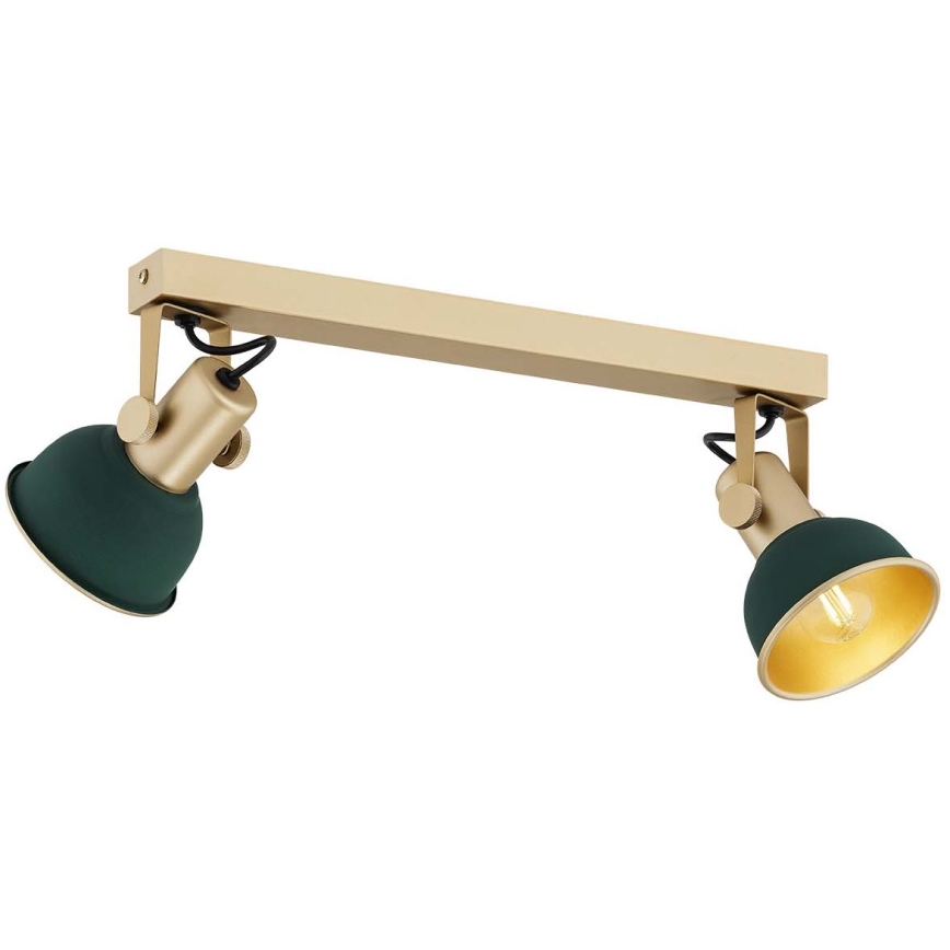 Argon 7143 - Точковий світильник LENORA 2xE14/7W/230V золотистий/зелений
