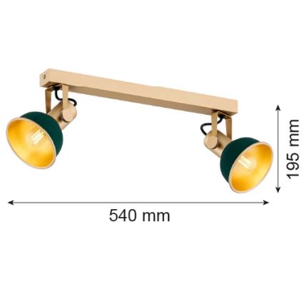 Argon 7143 - Точковий світильник LENORA 2xE14/7W/230V золотистий/зелений