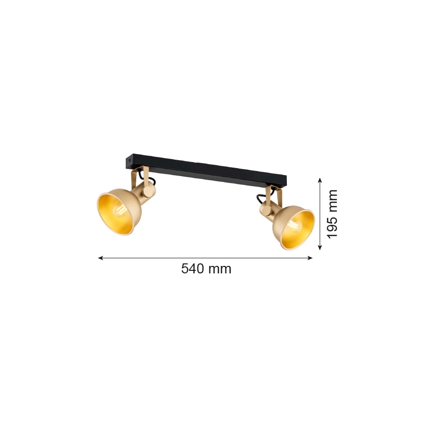 Argon 7144 - Точечный светильник LENORA 2xE14/7W/230V золотой/черный