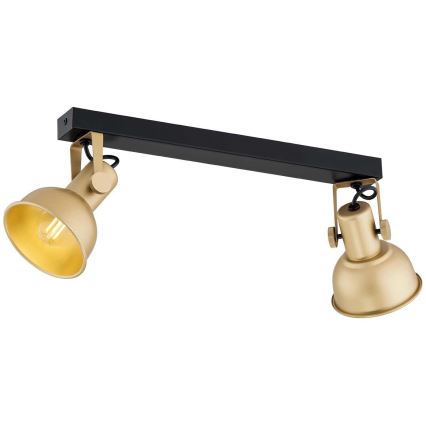 Argon 7144 - Точечный светильник LENORA 2xE14/7W/230V золотой/черный