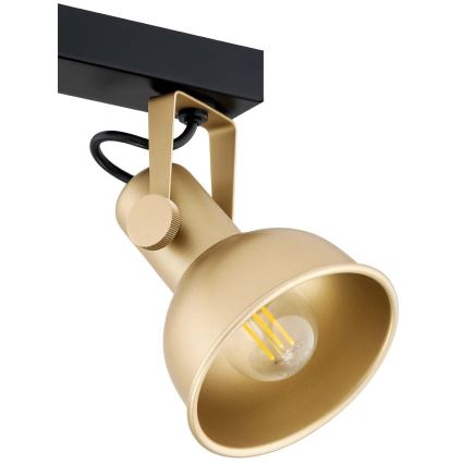 Argon 7144 - Точечный светильник LENORA 2xE14/7W/230V золотой/черный