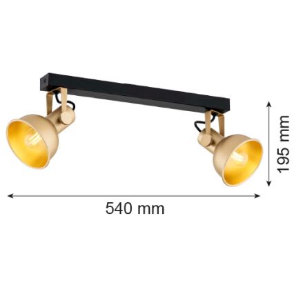 Argon 7144 - Точечный светильник LENORA 2xE14/7W/230V золотой/черный