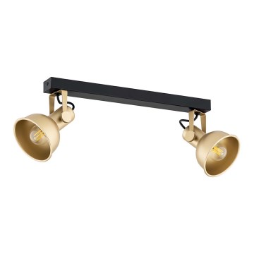 Argon 7144 - Точковий світильник LENORA 2xE14/7W/230V золотий/чорний