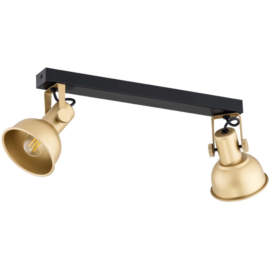 Argon 7144 - Точковий світильник LENORA 2xE14/7W/230V золотий/чорний