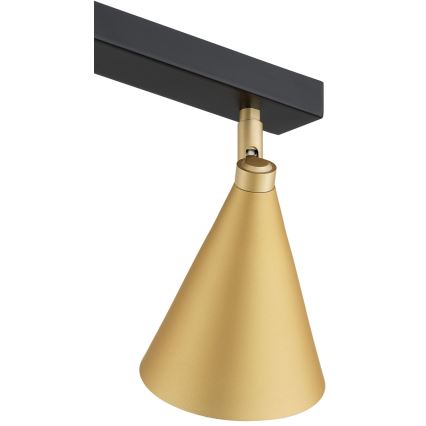 Argon 7149 - Точечный светильник LUCINDA 2xE14/7W/230V золотой