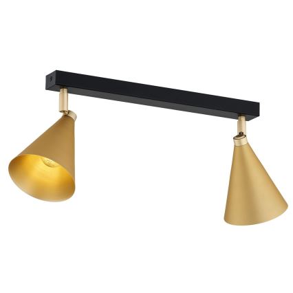 Argon 7149 - Точечный светильник LUCINDA 2xE14/7W/230V золотой