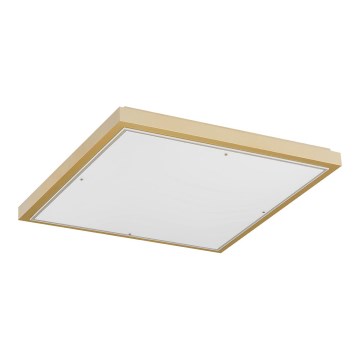 Argon 7167 - Потолочный светильник CARLSON 2xE27/15W/230V 29x29 см золотистый