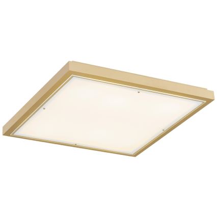 Argon 7167 - Потолочный светильник CARLSON 2xE27/15W/230V 29x29 см золотистый