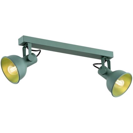 Argon 7174 - Точечный светильник LENORA 2xE14/7W/230V зеленый