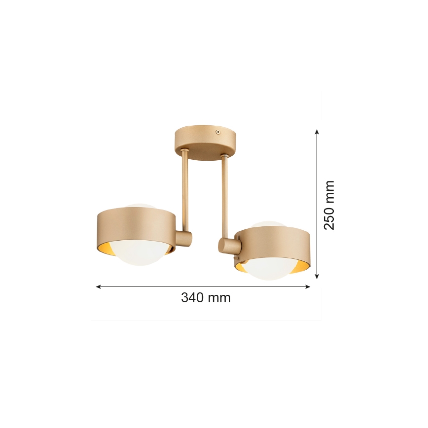 Argon 7215 - Люстра на штанзі для ванної кімнати MASSIMO PLUS 2xG9/6W/230V IP44 золотий