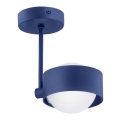 Argon 8062 - Люстра на штанзі MASSIMO PLUS 1xG9/6W/230V синій