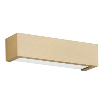 Argon 8249 - Настенный светильник CASERTA 1xE27/15W/230V 22 см