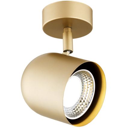 Argon 8260 - Точечный светильник ISOLA 1xGU10/5W/230V