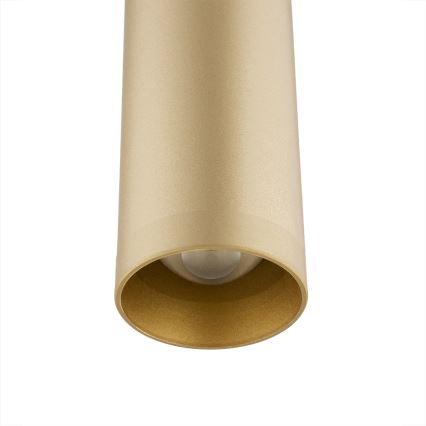 Argon 8327 - Підвісна LED люстра RIO LED/4,2W/230V 3000K золотиста