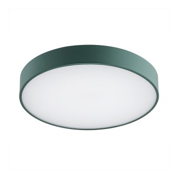 Argon 8335 - Стельовий LED світильник TIAMO LED/22W/230V 4000K зелений