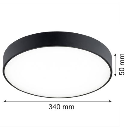 Argon 8348 - Стельовий LED світильник TIAMO LED/22W/230V 4000K чорний