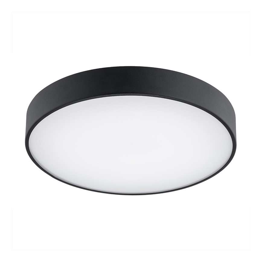 Argon 8348 - Светодиодный потолочный светильник TIAMO LED/22W/230V 4000K черный