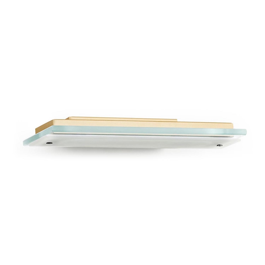 Argon 8363 - Светодиодный настенный светильник VELO LED/7,2W/230V 3000K золотистый/прозрачный