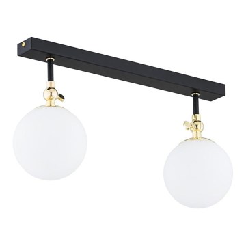 Argon 846 - Накладна люстра LATINA для ванної кімнати 2xE14/40W/230V IP44