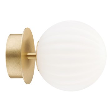 Argon 8504 - Настенный светильник PALOMA 1xE14/7W/230V золотистый/белый