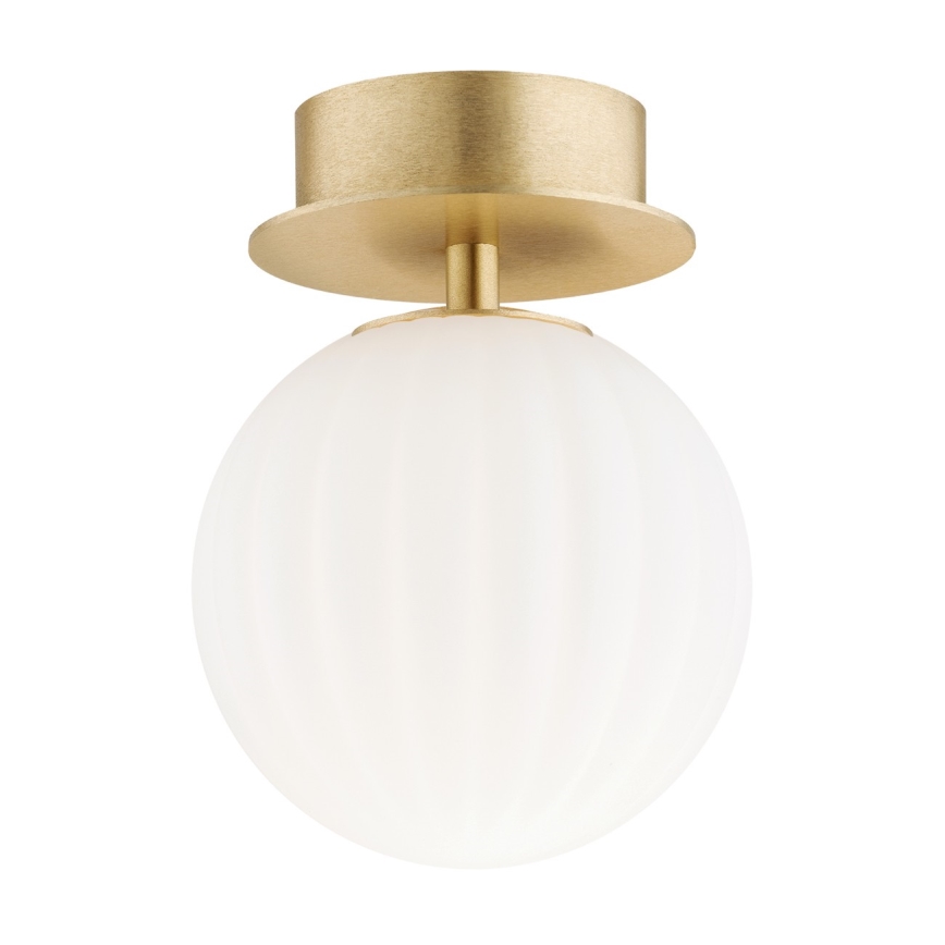 Argon 8504 - Настенный светильник PALOMA 1xE14/7W/230V золотистый/белый