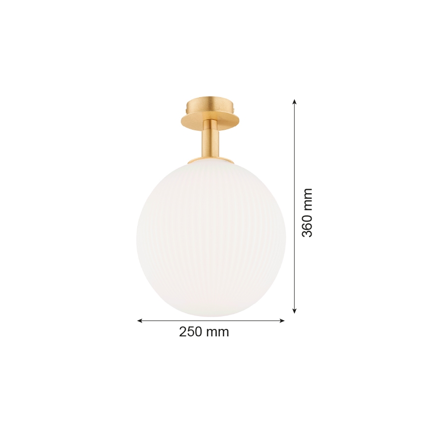 Argon 8505 - Потолочный светильник PALOMA 1xE27/15W/230V золотистый/белый