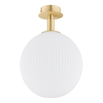 Argon 8505 - Стельовий світильник PALOMA 1xE27/15W/230V золотий/білий