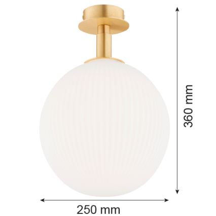 Argon 8505 - Стельовий світильник PALOMA 1xE27/15W/230V золотий/білий