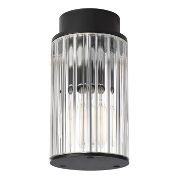 Argon 8773 - Уличный потолочный светильник NORFOLK 1xE27/15W/230V IP44 черный