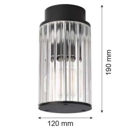 Argon 8773 - Уличный потолочный светильник NORFOLK 1xE27/15W/230V IP44 черный