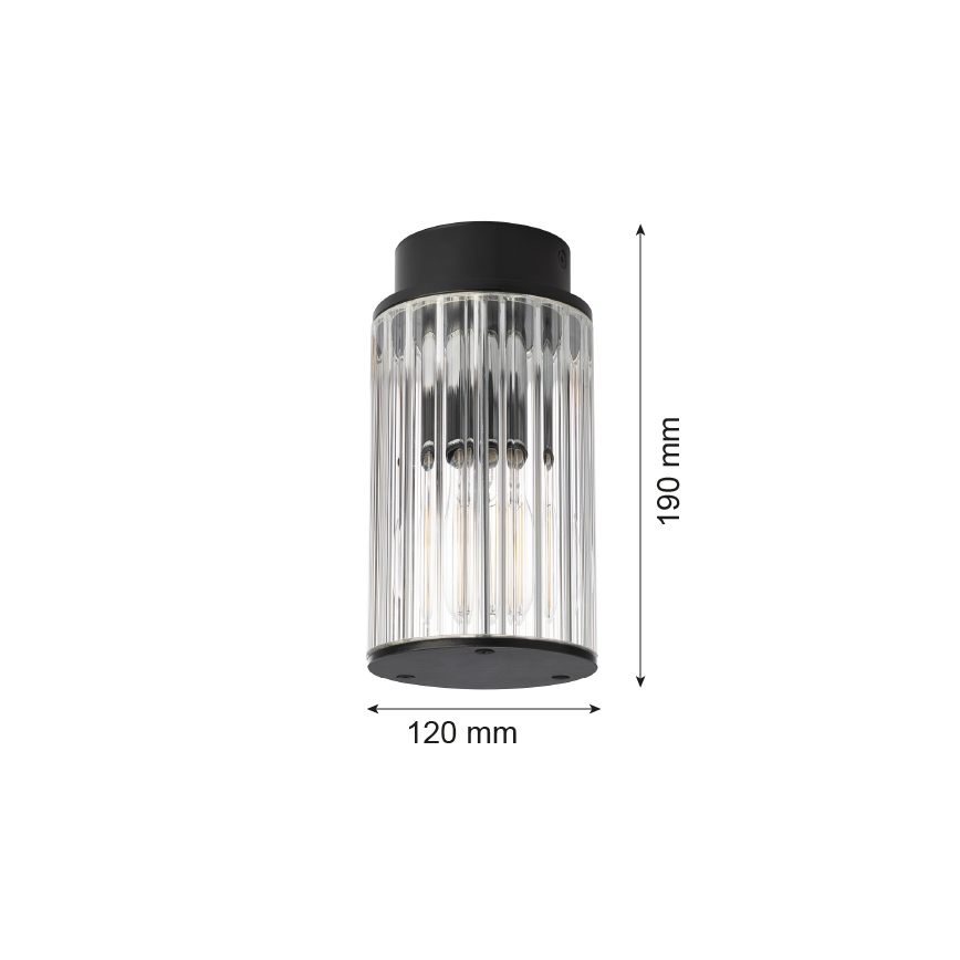 Argon 8773 - Уличный потолочный светильник NORFOLK 1xE27/15W/230V IP44 черный