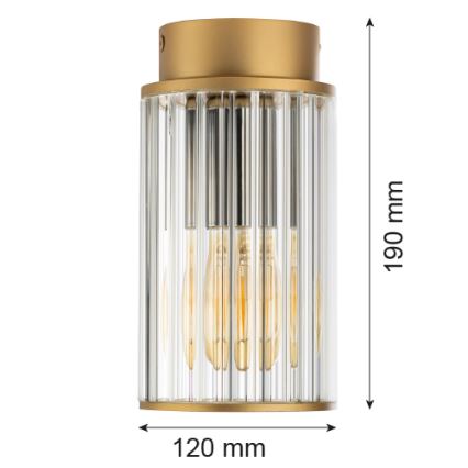 Argon 8774 - Уличный потолочный светильник NORFOLK 1xE27/15W/230V IP44 золотистый